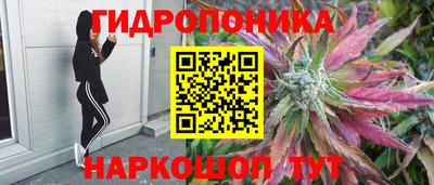спайс Кунгур