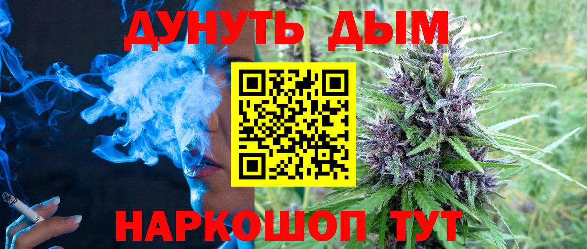 Бошки марихуана гибрид Губаха